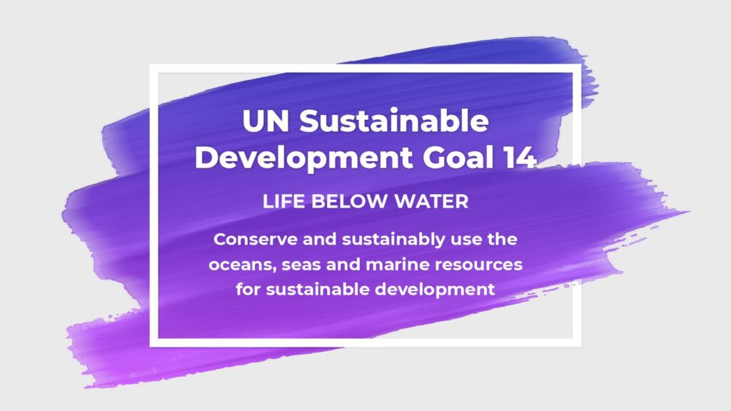graphic of "Life Below Water" project