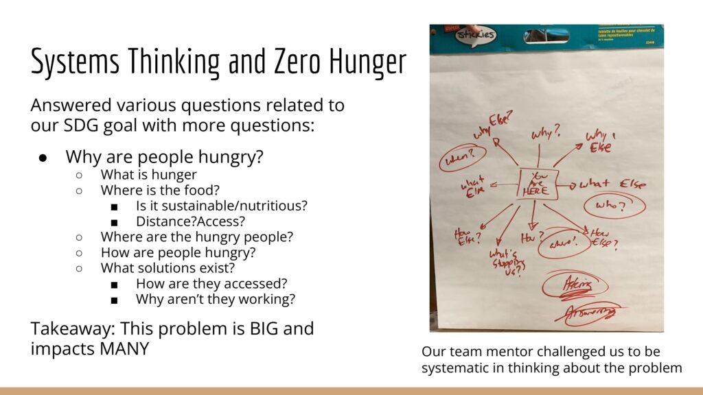 graphic of "Zero Hunger" project