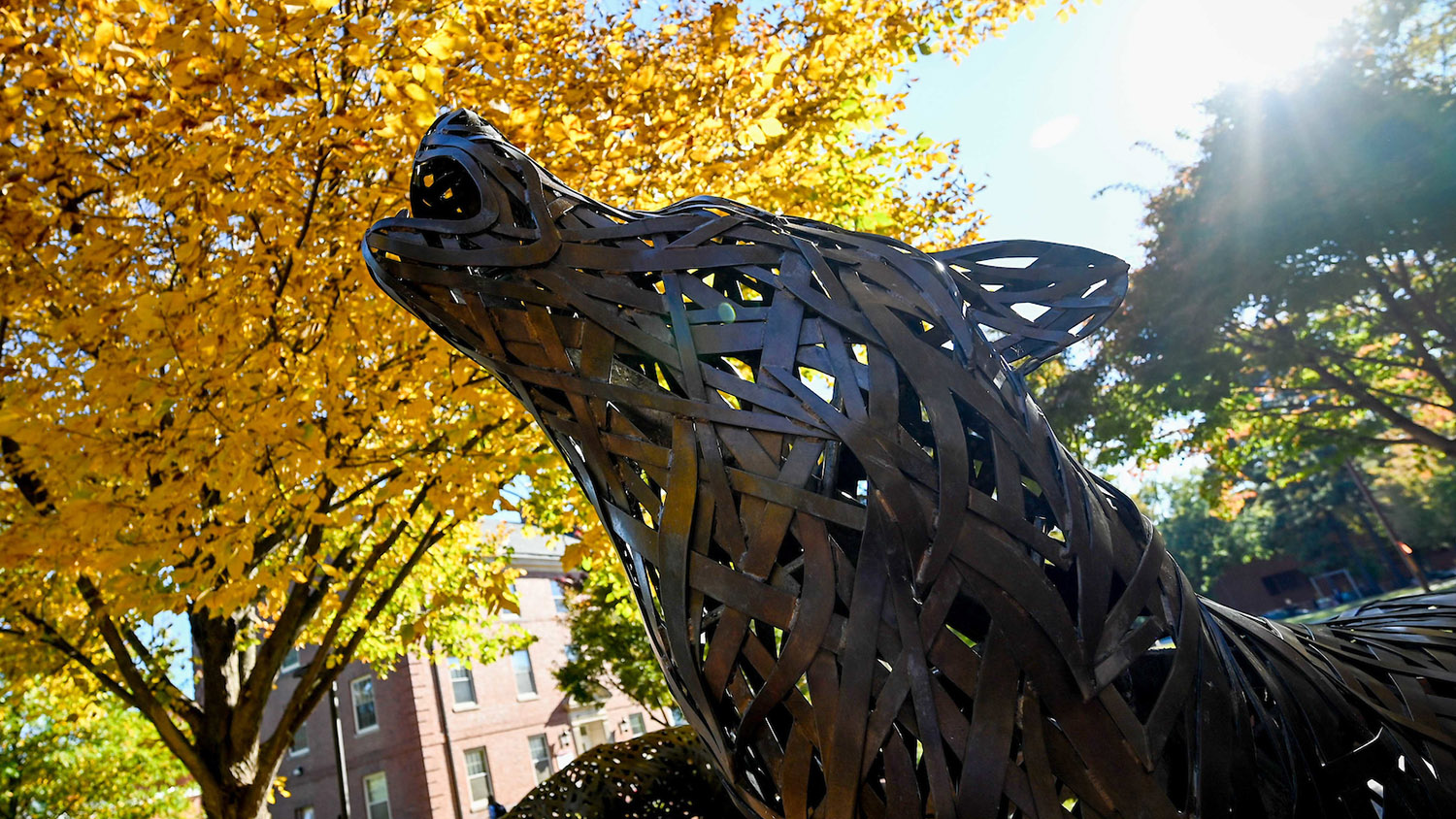 wolf statue in front of leaves